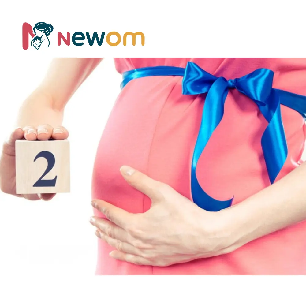 جدول غذائي للحامل بتوأم